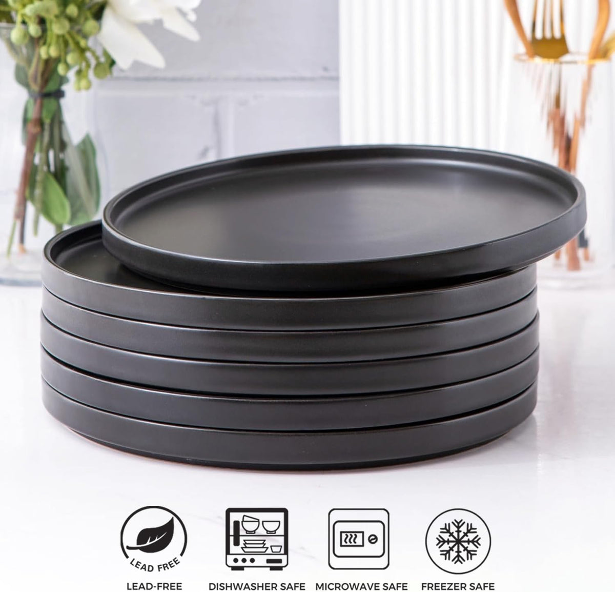 Black 6pcs 10.5" Stoneware Dinner Plate X1205