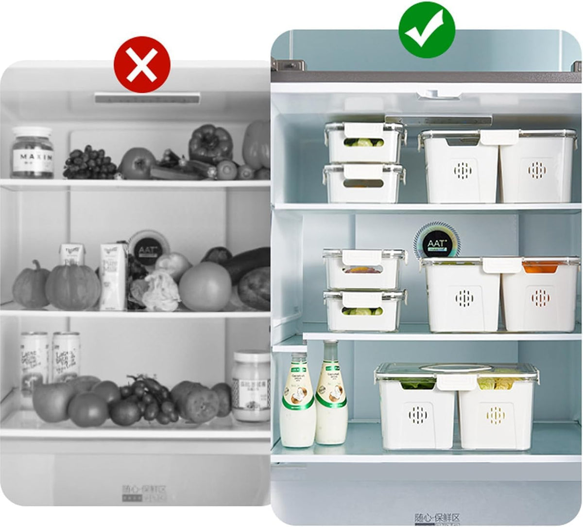 Deep Divided by 3  Plexi Food Box X917