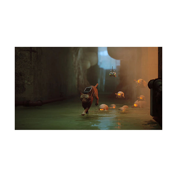 Stray - PS5