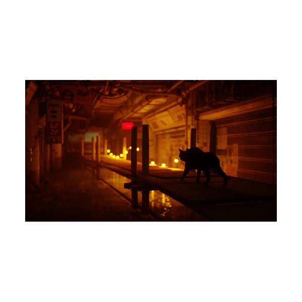 Stray - PS5