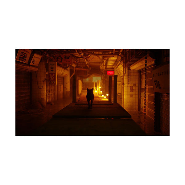 Stray - PS5