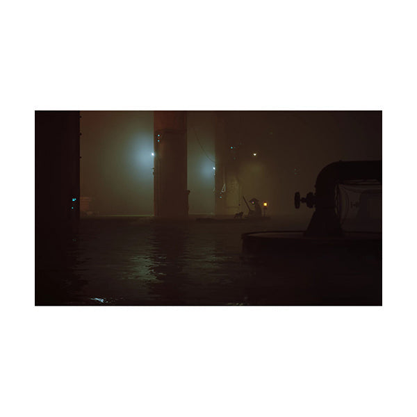 Stray - PS5