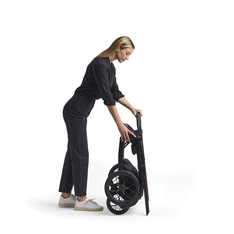 Inglesina Aptica XT System Quattro Stroller + Standup Cradle + Darwin Recline Car Seat