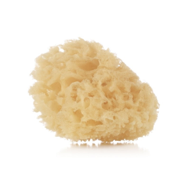 Jane Natural Sponge Soft Baby Bath Accessory