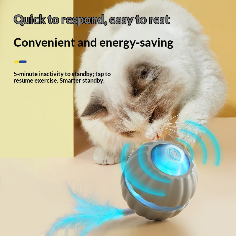 Interactive Dog/Cat Toy Ball USB Rechargeable Automatic Moving Rolling DP168 Mix Color