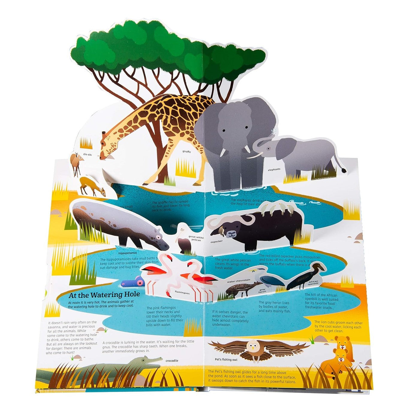 Tumama Kids - Ultimate Spotlight : Savanna Animals Book