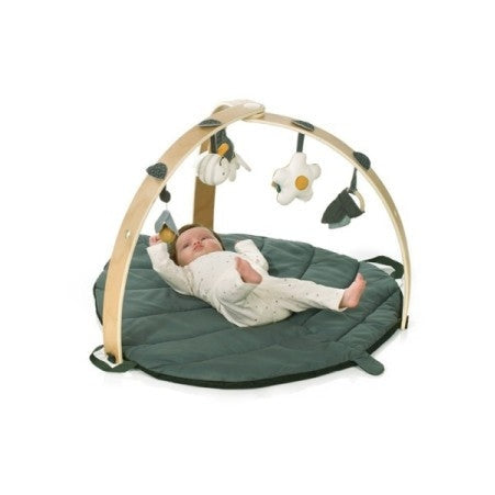 jane baby play mat with gym