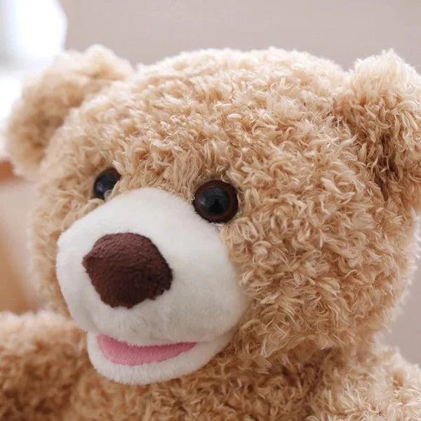 Hide and Seek Peek-A-Boo Teddy Bear