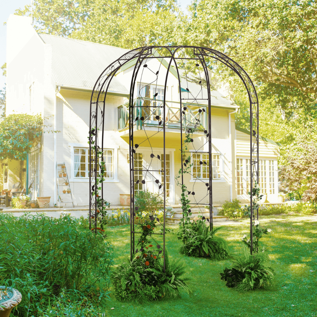 BELAVI Decorative Rose Arch , Black