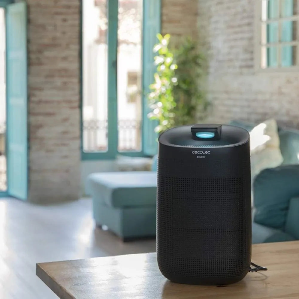 BigDry 3000. Silent electric dehumidifier