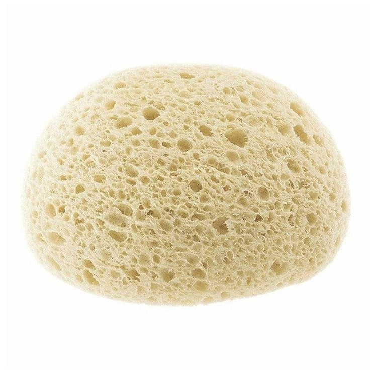 Chicco Extra Absorbent Sponge 0M+