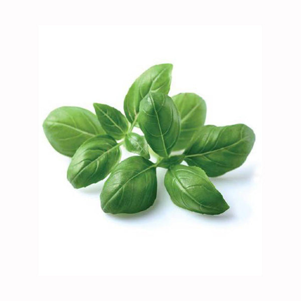Click and Grow Basil Plant Pods - 3 Packs