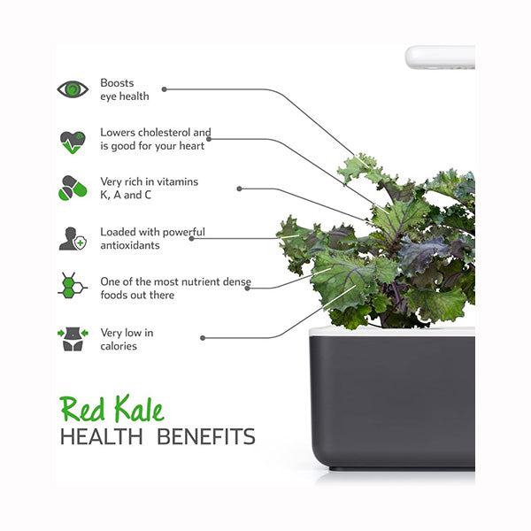 Click and Grow Red Kale Plant Pods - 3 Packs
