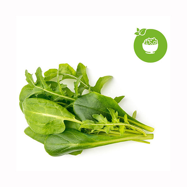 Click and Grow Salad Greens Mix - 9-Pack