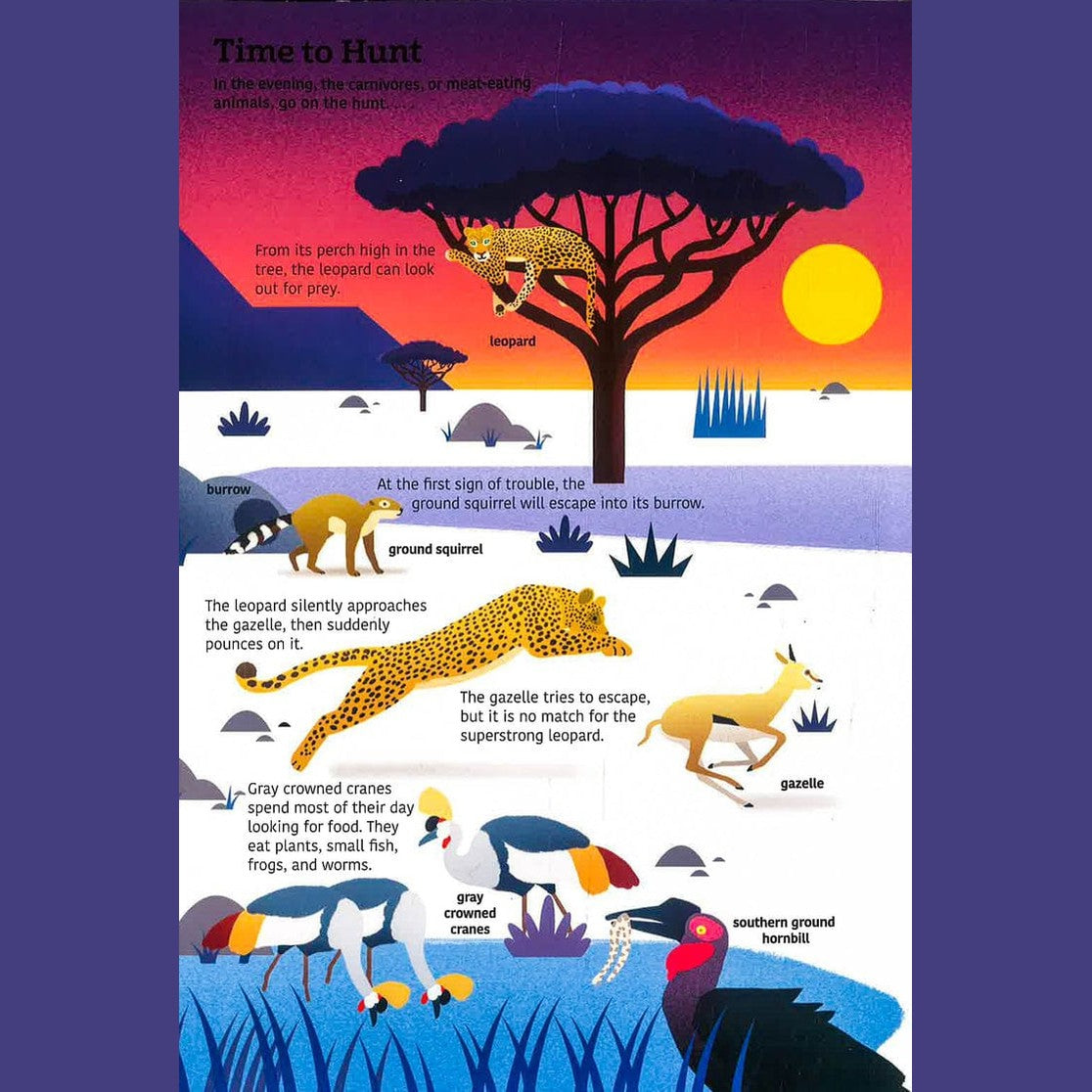 Tumama Kids - Ultimate Spotlight : Savanna Animals Book