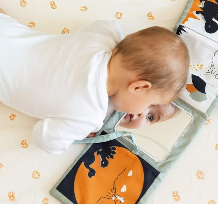 Soft Dino Adventure Baby Book