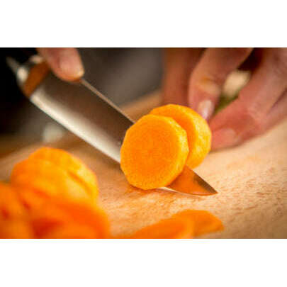 Ice Force-Utility  Knife 11cm - Medaid International