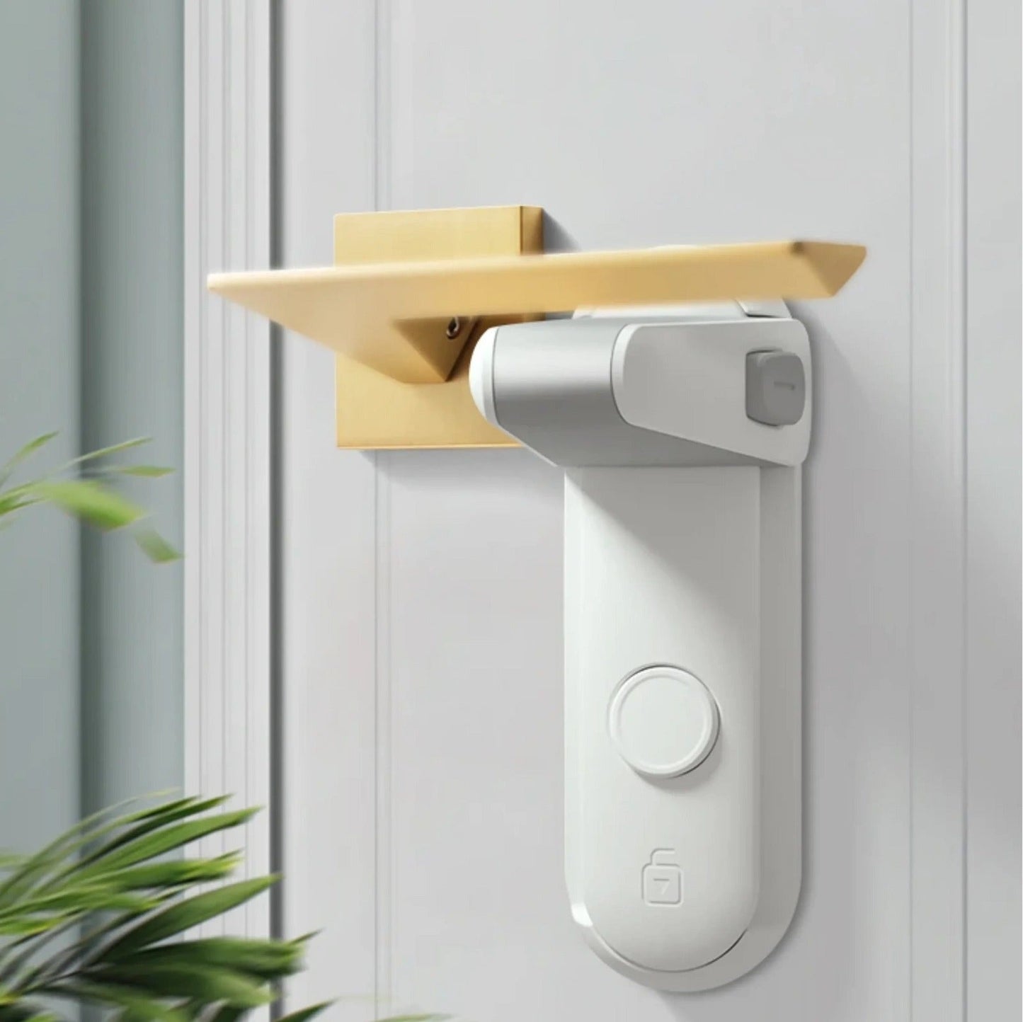 Door Lock