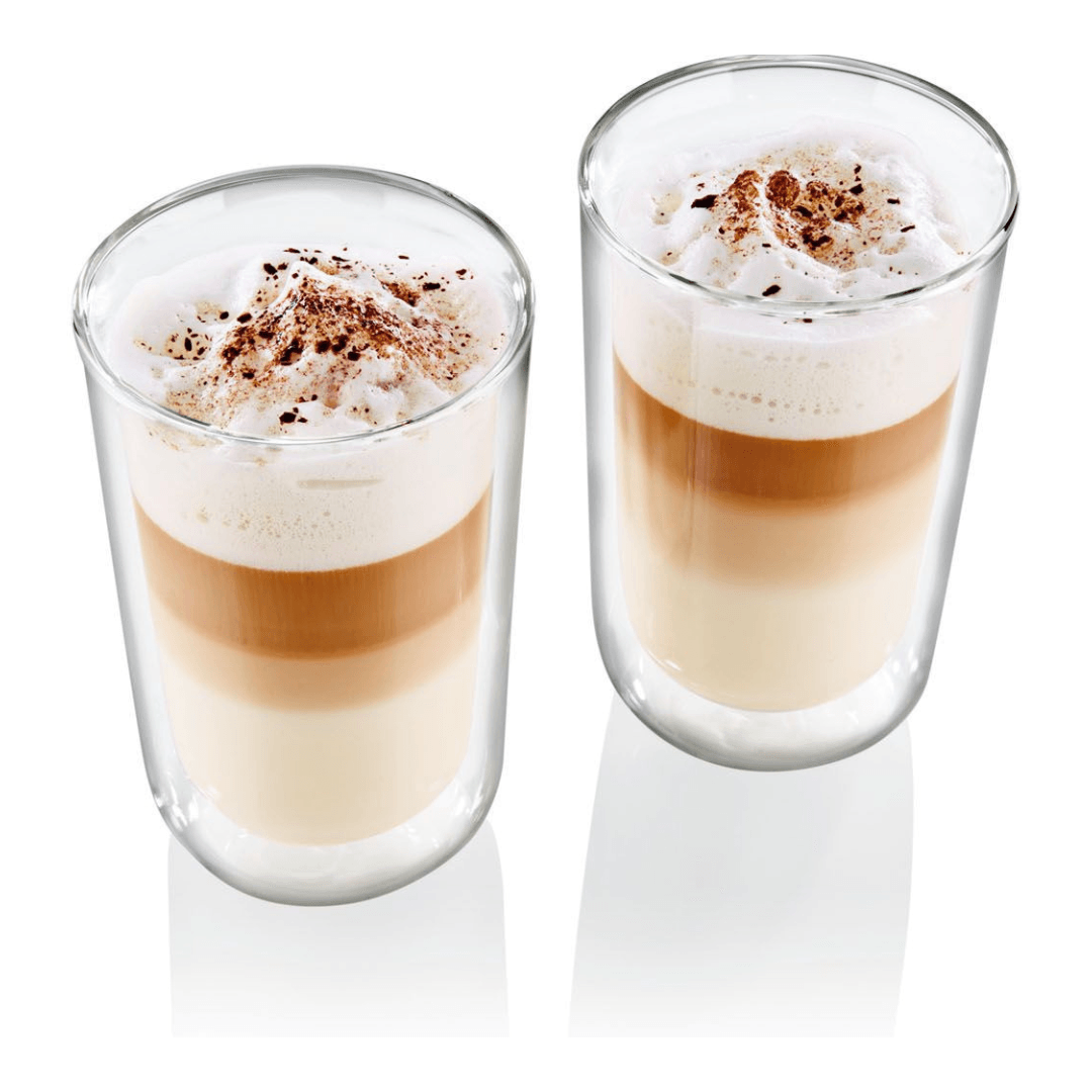 ERNESTO Double Walled Glasses 455ML Set Of 2