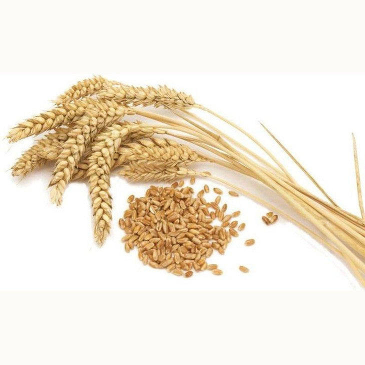 Rausch Wheat Germ Conditioner 200ML