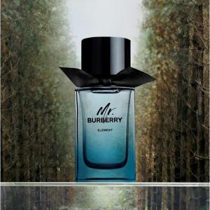 Burberry Mr Burberry Element Eau De Toilette For Men - Medaid International