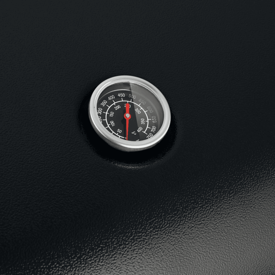 Grillmeister Gas Table Barbecue
