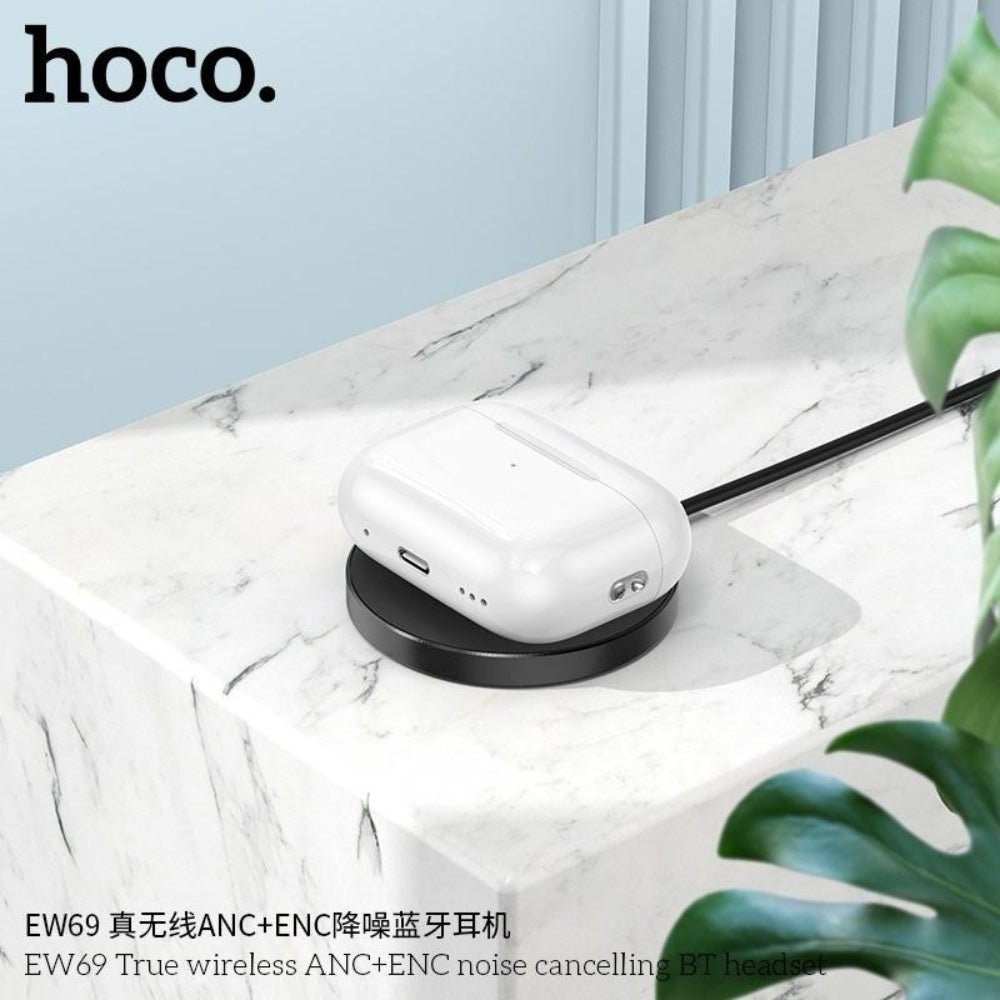 Hoco ANC and ENC Earbuds EW69