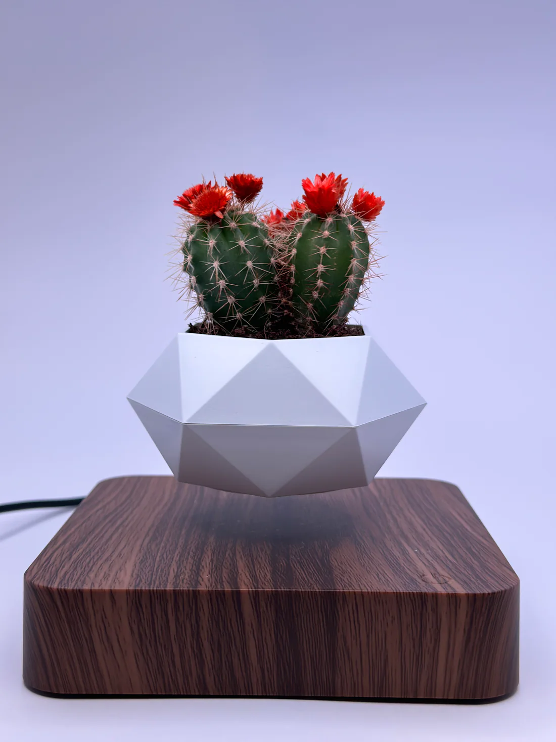 Floating Flower Pot