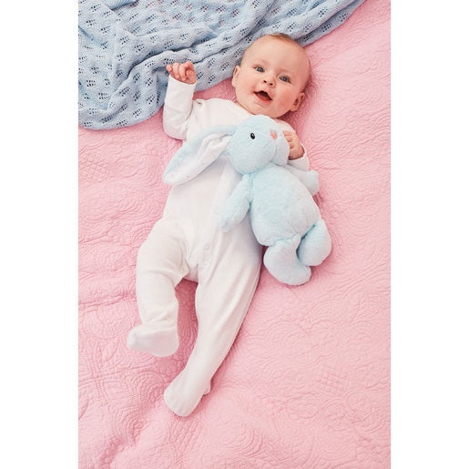 Elc Blue Bunny