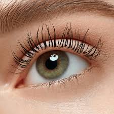 Essence Lash Without Limits Tubing Length & Volume Mascara 04