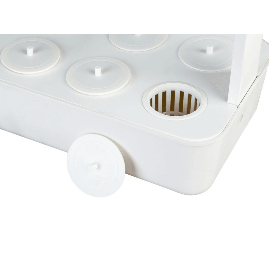 Indoor Gardening Set