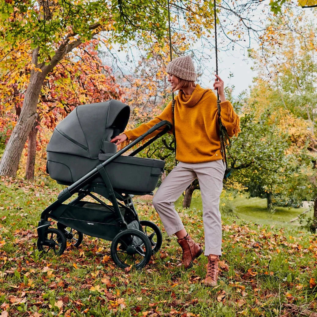 Inglesina Aptica Xt Darwin Travel Sys