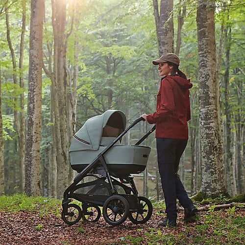 Inglesina Aptica Xt Darwin Travel Sys