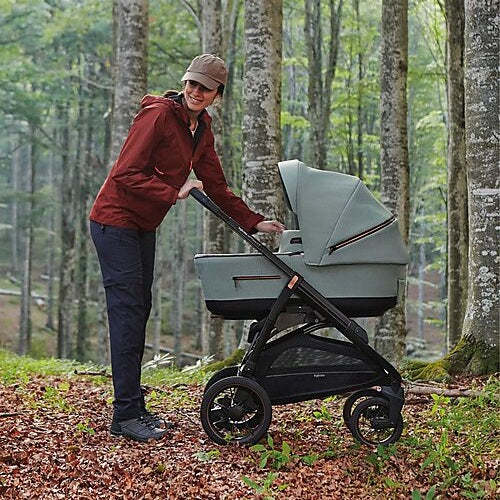 Inglesina Aptica Xt Darwin Travel Sys