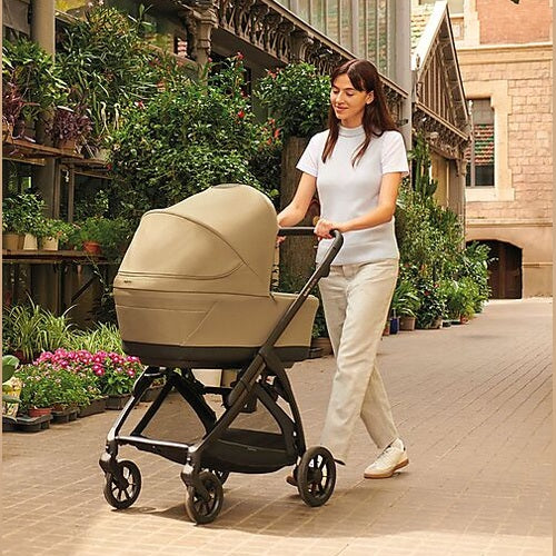 Inglesina (KA51DBC) Electa Darwin Kit Syst