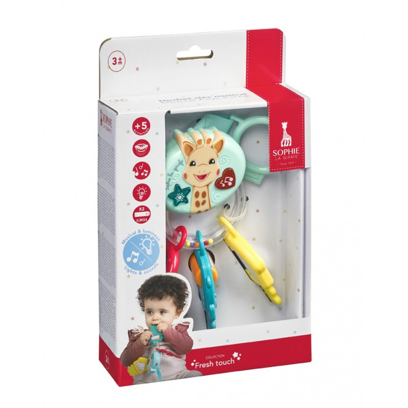 Lights And Sound Musical Key Rattle