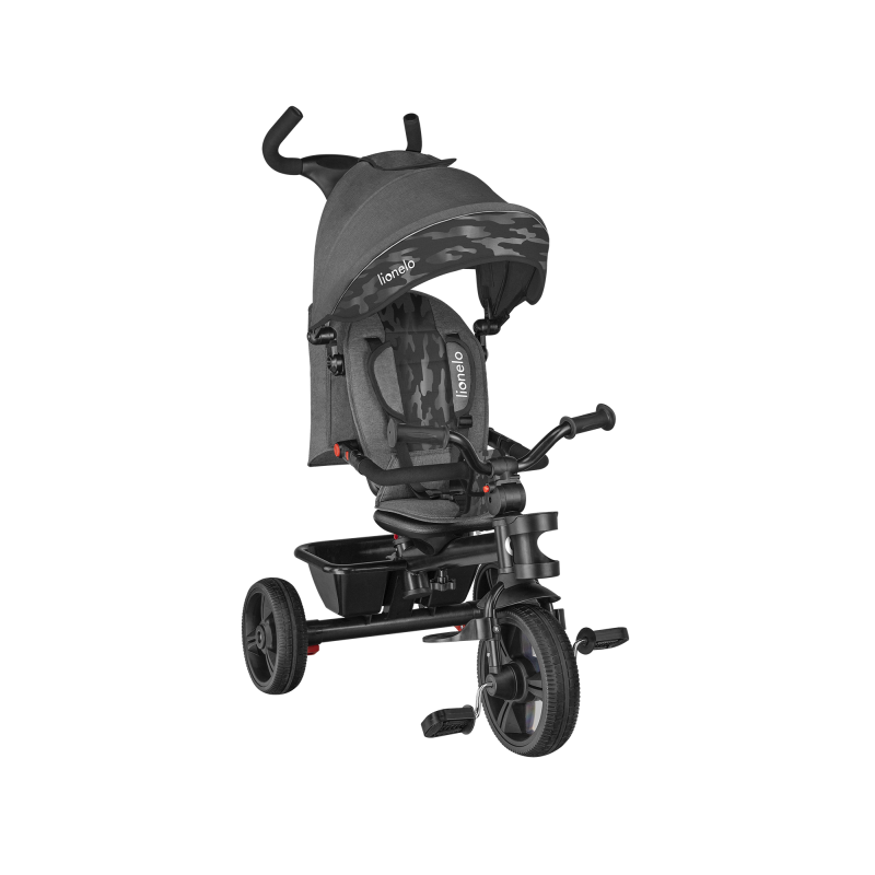 Evolving tricycle Haari