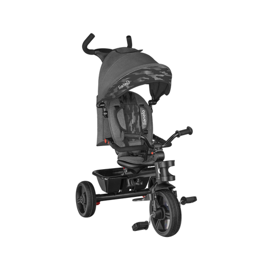 Evolving tricycle Haari