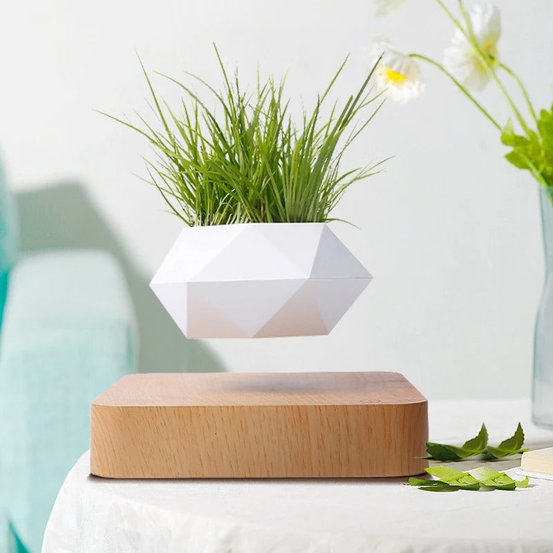 Poly Levitating Planter
