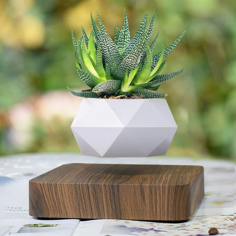 Poly Levitating Planter
