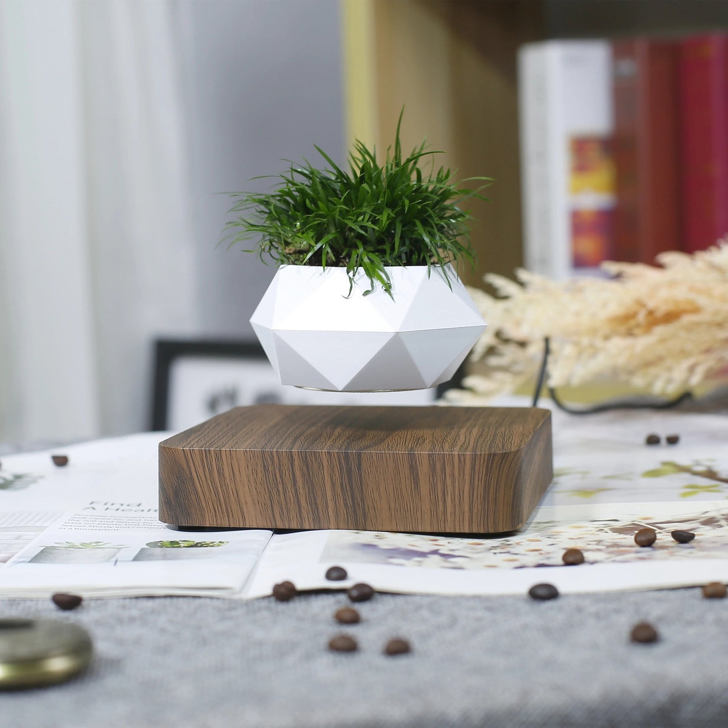 Poly Levitating Planter