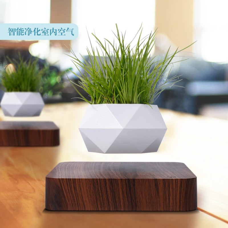 Poly Levitating Planter