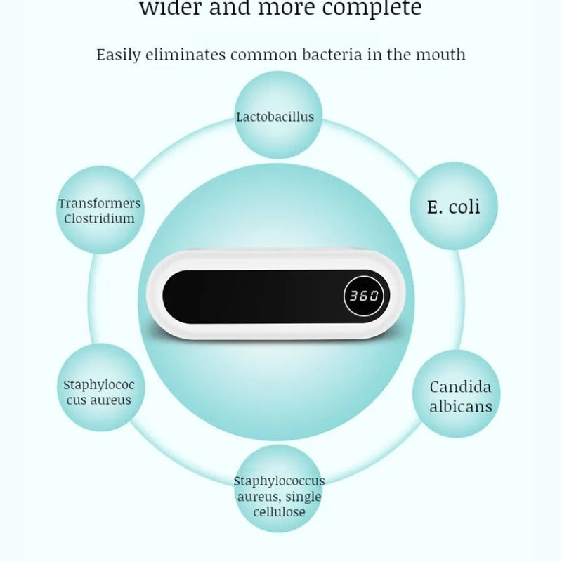 Smart Wall Mounted Toothbrush Holder