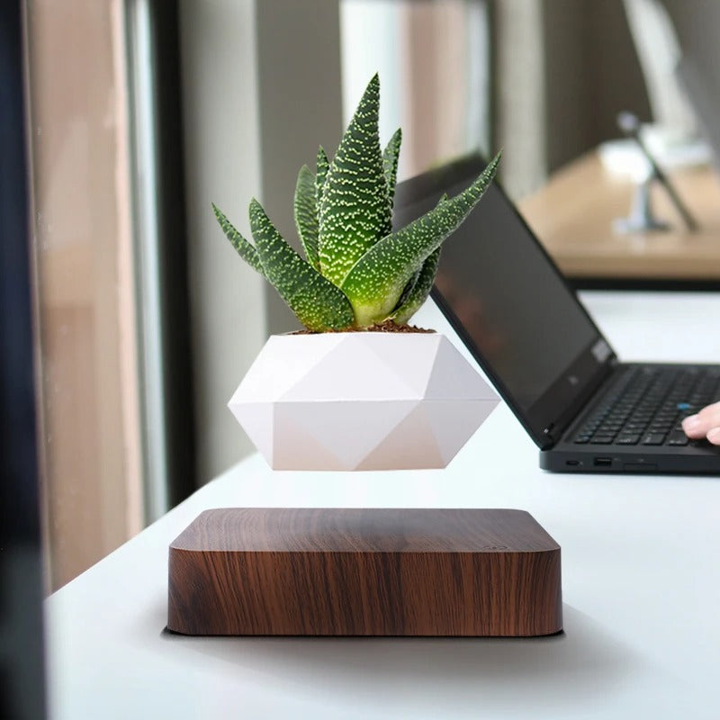 Poly Levitating Planter