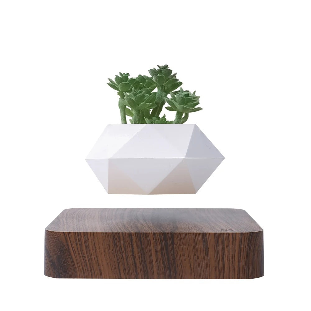 Poly Levitating Planter