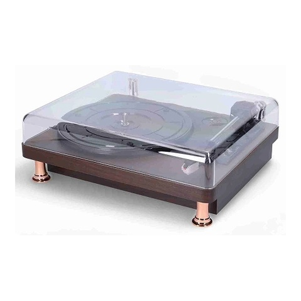 Nostalgic Vinyl Record Player, Where Nostalgia Meets Innovation