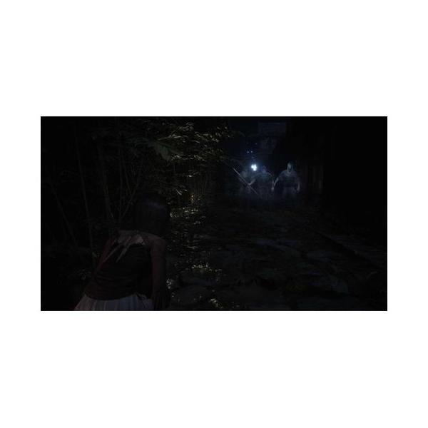 FATAL FRAME II: Crimson Butterfly REMAKE - PS5