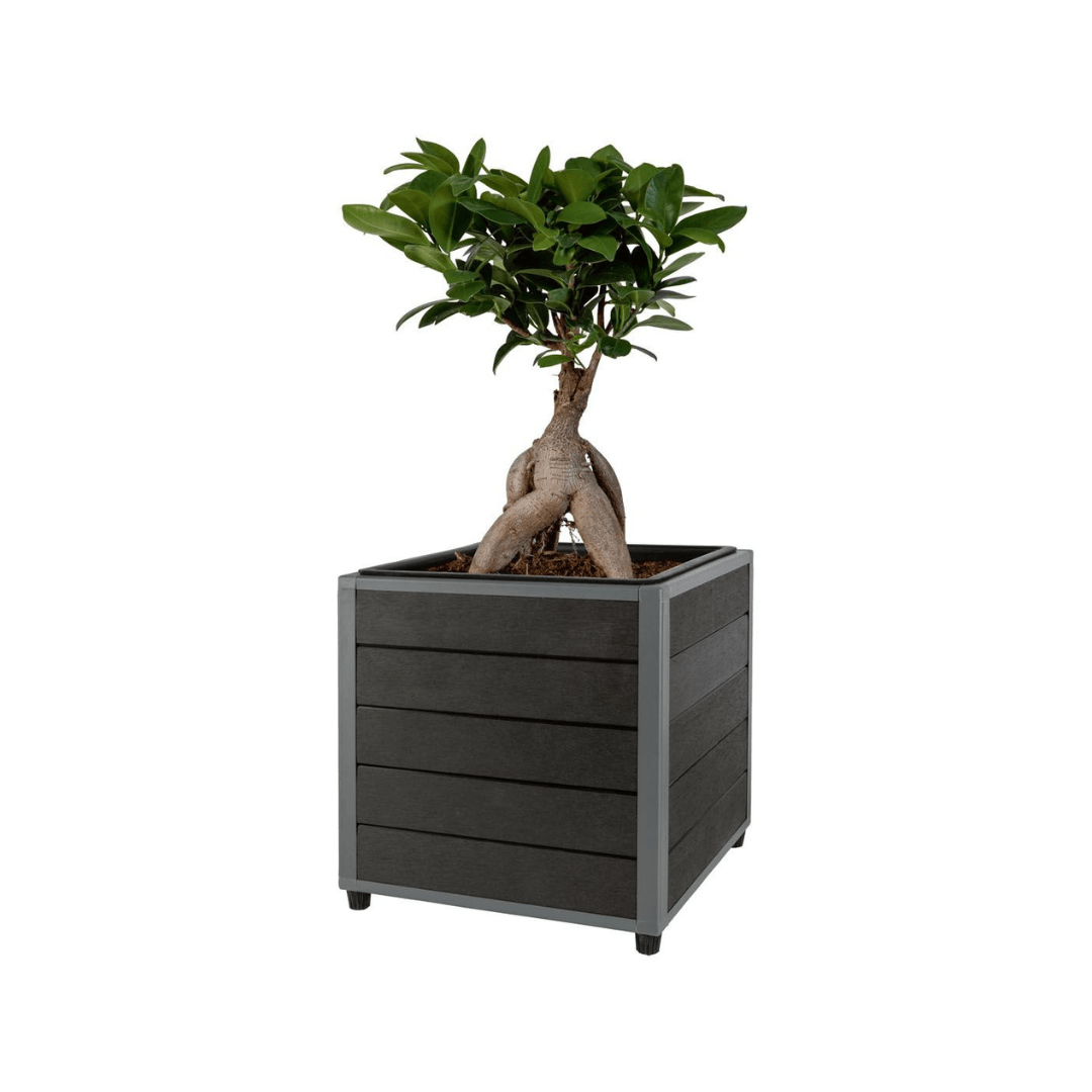 PARKSIDE FLOWER POT