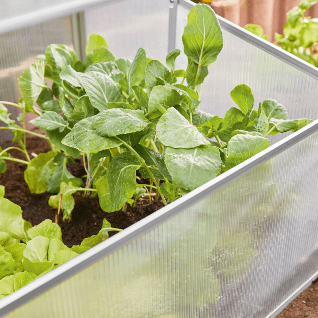 Mini Greenhouse with UV-Resistant Polycarbonate & Aluminum Frame – 100×40×60 cm