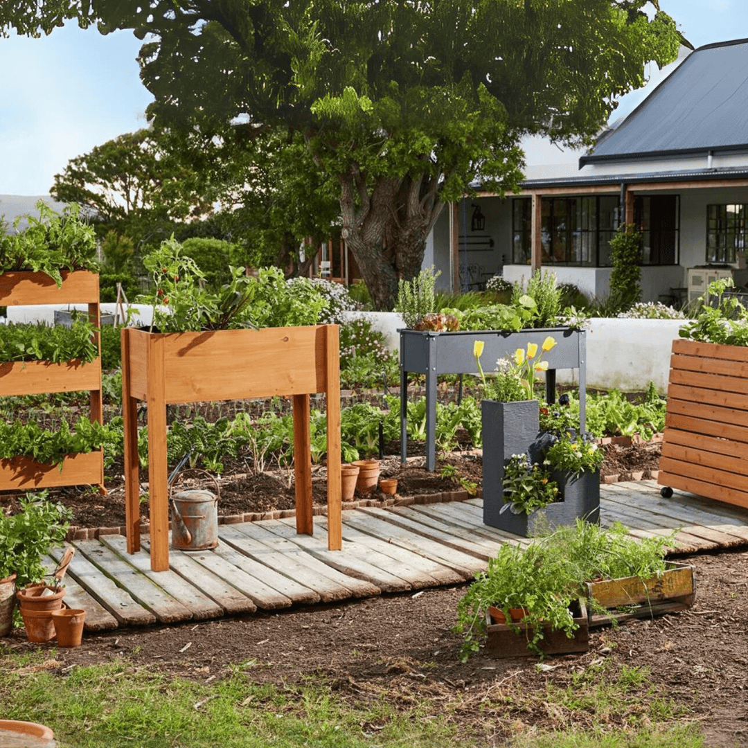 PARKSIDE WOODEN PROPAGATOR ON LEGS